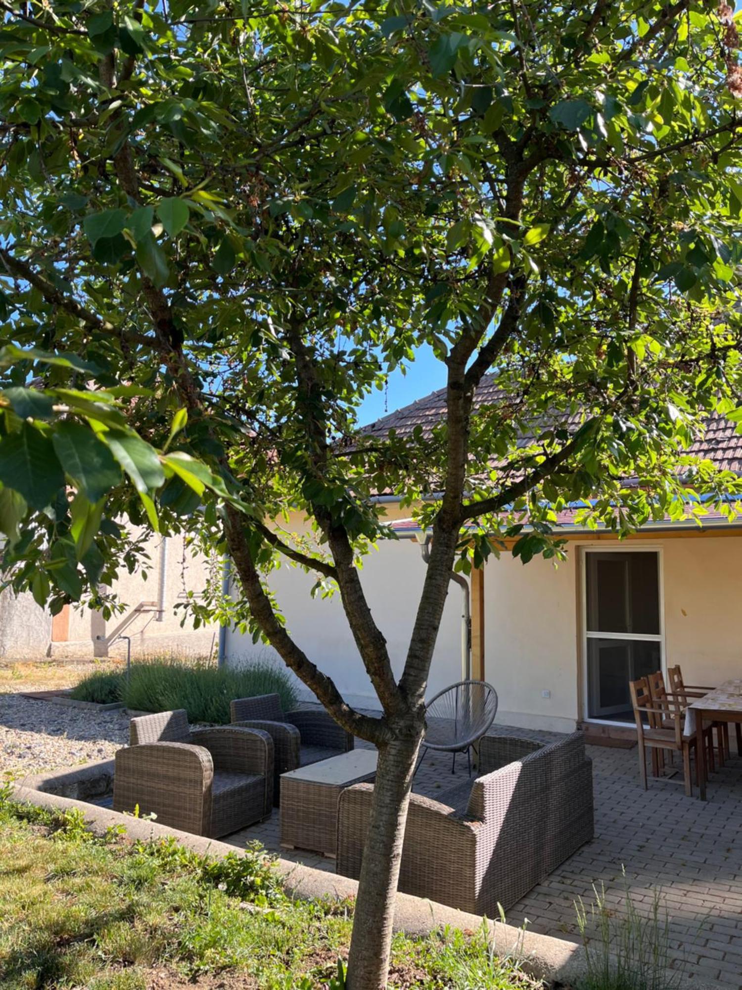 Apartmán Angelina Vendeghaz Tarcal Exteriér fotografie